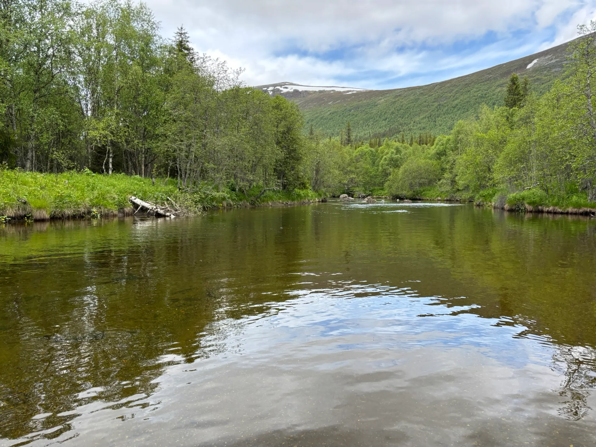 Dalsån