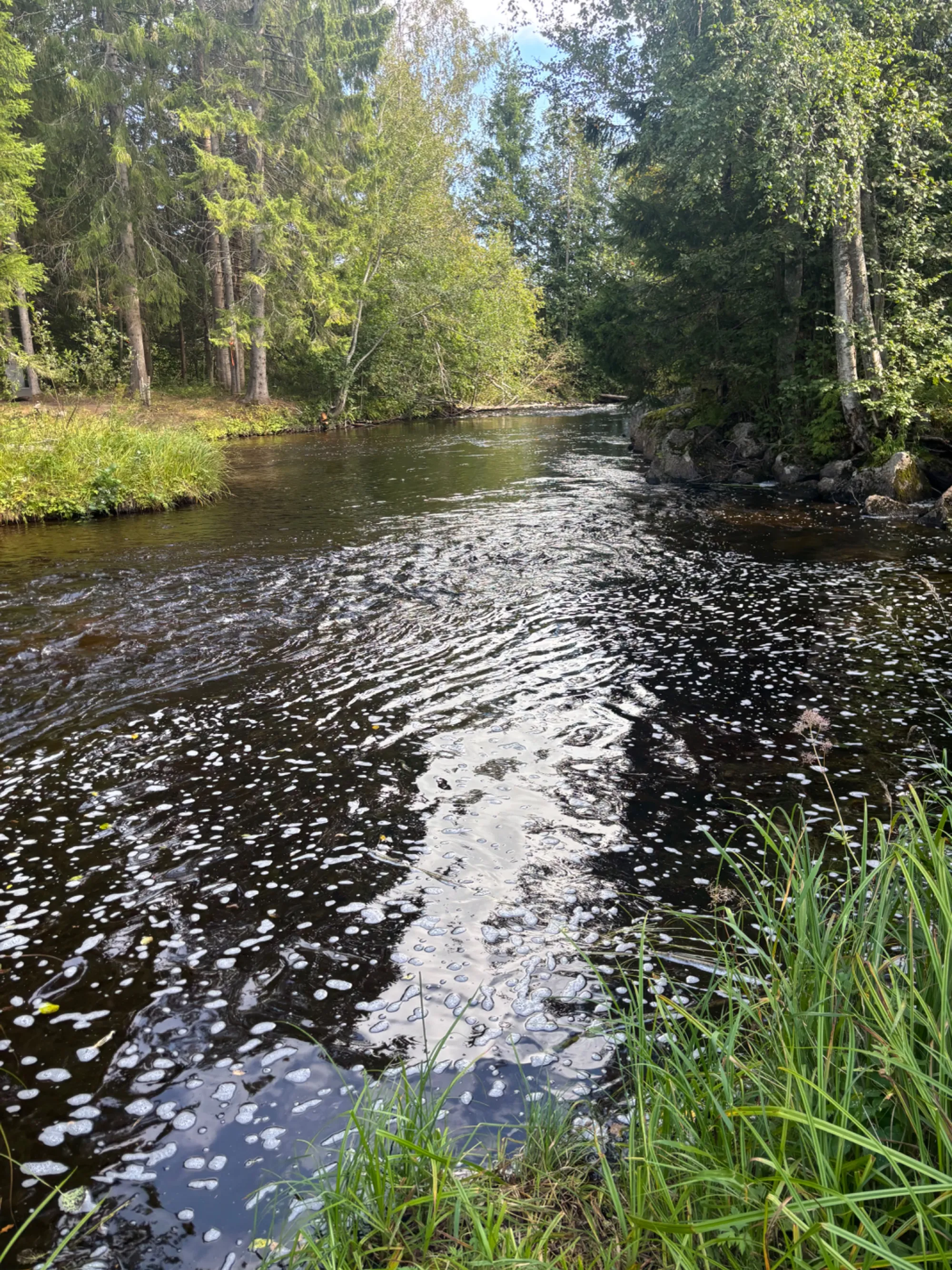 Selångerån