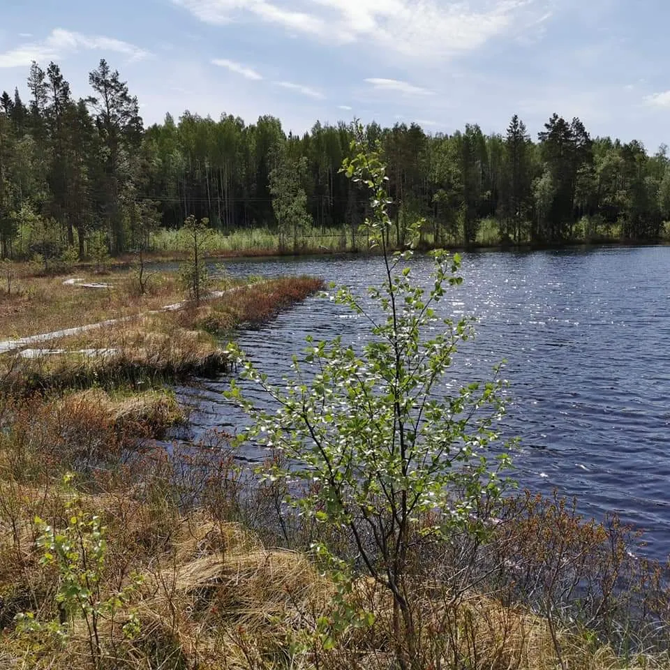 Igeltjärn